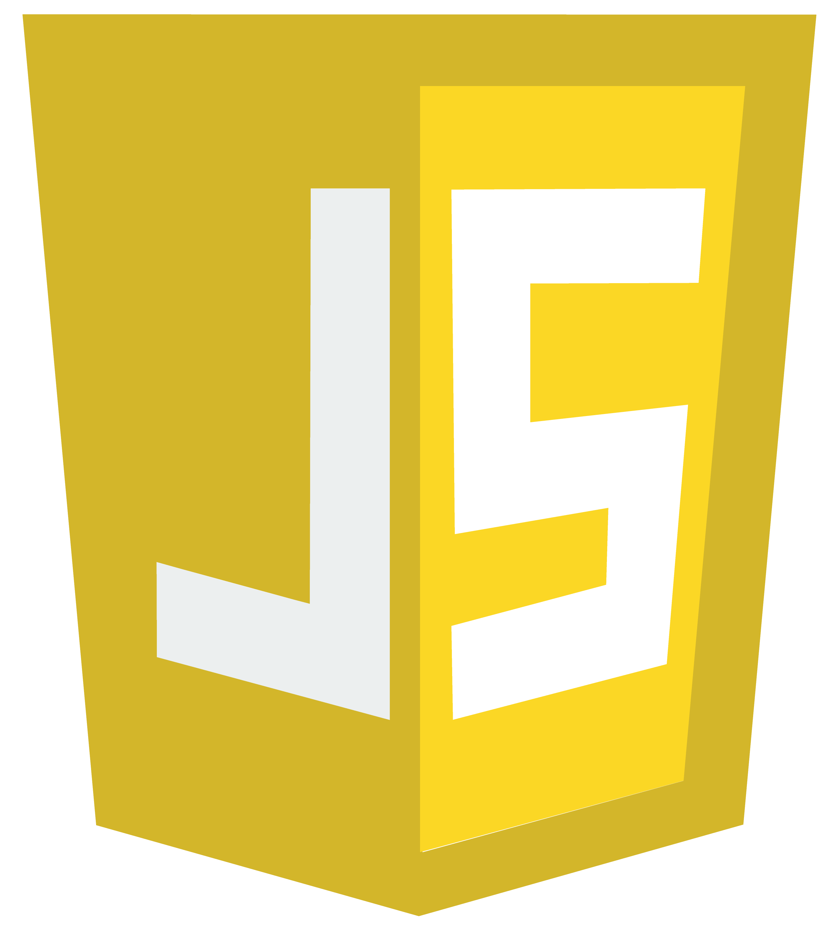 JavaScript